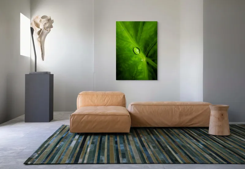 Tablou Canvas, "Picătura de rouă pe frunză verde", Frunză, Picătură, Verde, Textură, Natură, 70 x 100 cm – poza 7