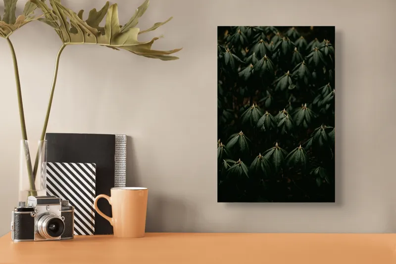 Tablou Canvas, "Frunze întunecate într-o noapte misterioasă", Frunze, Verde, Întunecat, Natură, Mister, Textură, Organic, Frunziș, Serenity, Profunzime, 26 x 39 cm – poza 3