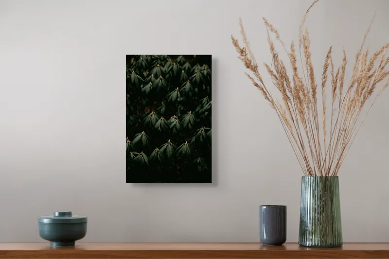 Tablou Canvas, "Frunze întunecate într-o noapte misterioasă", Frunze, Verde, Întunecat, Natură, Mister, Textură, Organic, Frunziș, Serenity, Profunzime, 26 x 39 cm – poza 5