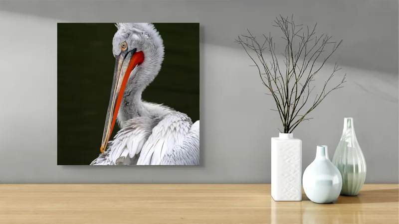 Tablou Canvas, "Pelican alb în apă liniștită", Elegant, Alb, Penaj, Ochi, Cioc, Contrast, Apă, Delicat, 50 x 50 cm – poza 3