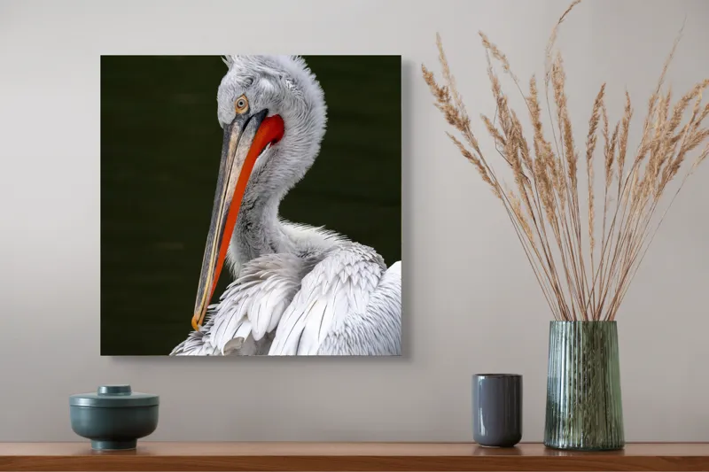 Tablou Canvas, "Pelican alb în apă liniștită", Elegant, Alb, Penaj, Ochi, Cioc, Contrast, Apă, Delicat, 50 x 50 cm – poza 4