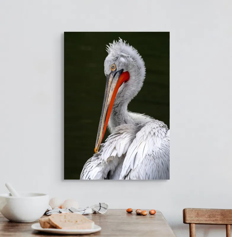 Tablou Canvas, "Pelican alb în apă liniștită", Elegant, Alb, Penaj, Ochi, Cioc, Contrast, Apă, Delicat, 50 x 70 cm – poza 3