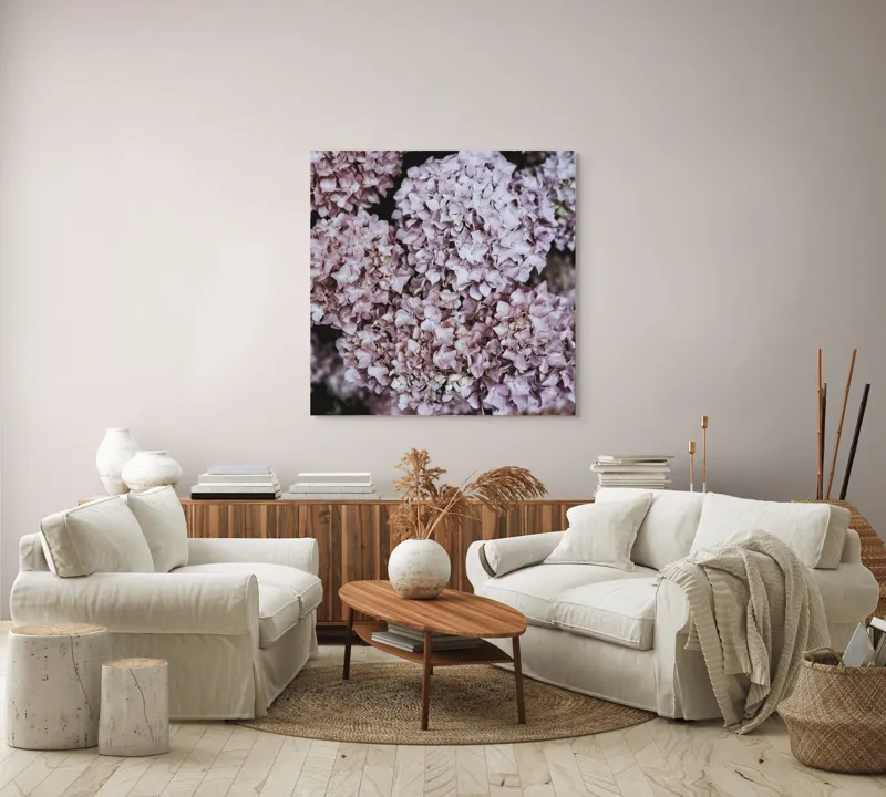 Tablou Canvas, "Delicatețe de hortensii rozalie înflorite", Flori, Hortensii, Roz, Delicat, Abundență, Natură, Textură, Petale, Frumusețe, Pastel, 100 x 100 cm – poza 3