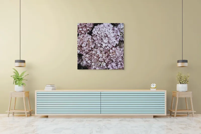 Tablou Canvas, "Delicatețe de hortensii rozalie înflorite", Flori, Hortensii, Roz, Delicat, Abundență, Natură, Textură, Petale, Frumusețe, Pastel, 100 x 100 cm – poza 5