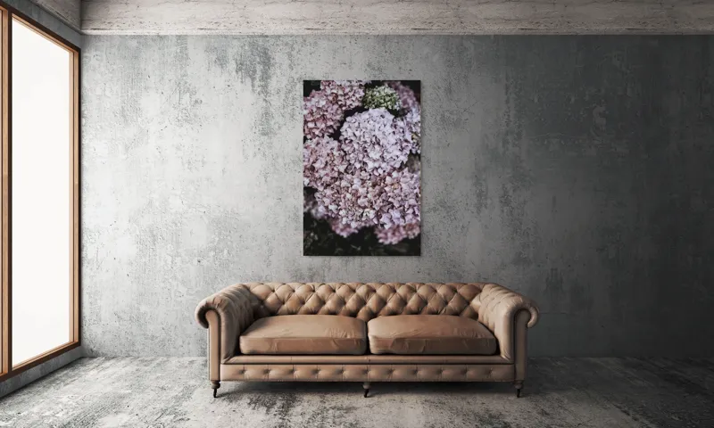Tablou Canvas, "Delicatețe de hortensii rozalie înflorite", Flori, Hortensii, Roz, Delicat, Abundență, Natură, Textură, Petale, Frumusețe, Pastel, 100 x 150 cm – poza 6