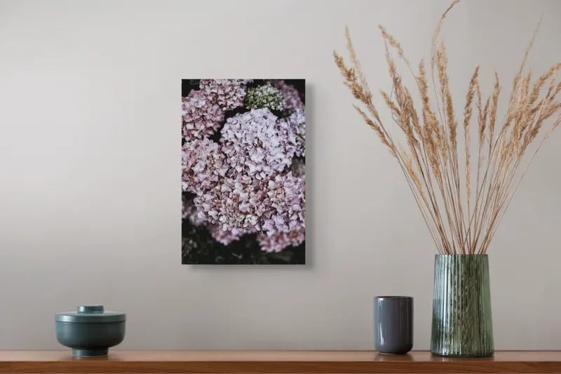 Tablou Canvas, "Delicatețe de hortensii rozalie înflorite", Flori, Hortensii, Roz, Delicat, Abundență, Natură, Textură, Petale, Frumusețe, Pastel, 26 x 39 cm – poza 5