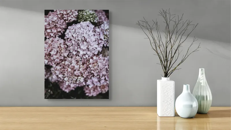 Tablou Canvas, "Delicatețe de hortensii rozalie înflorite", Flori, Hortensii, Roz, Delicat, Abundență, Natură, Textură, Petale, Frumusețe, Pastel, 39 x 54 cm – poza 4