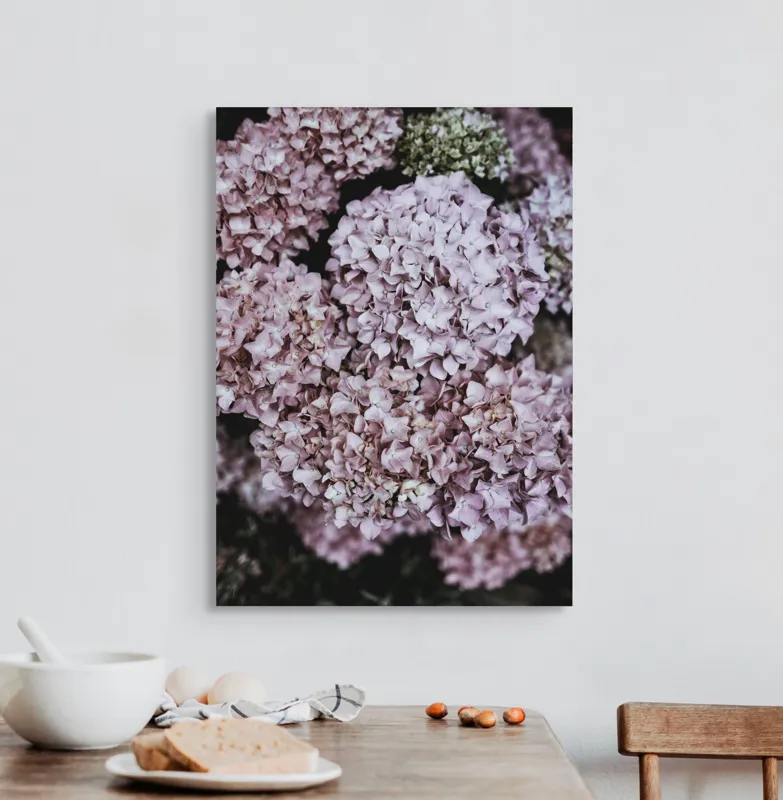 Tablou Canvas, "Delicatețe de hortensii rozalie înflorite", Flori, Hortensii, Roz, Delicat, Abundență, Natură, Textură, Petale, Frumusețe, Pastel, 50 x 70 cm – poza 3