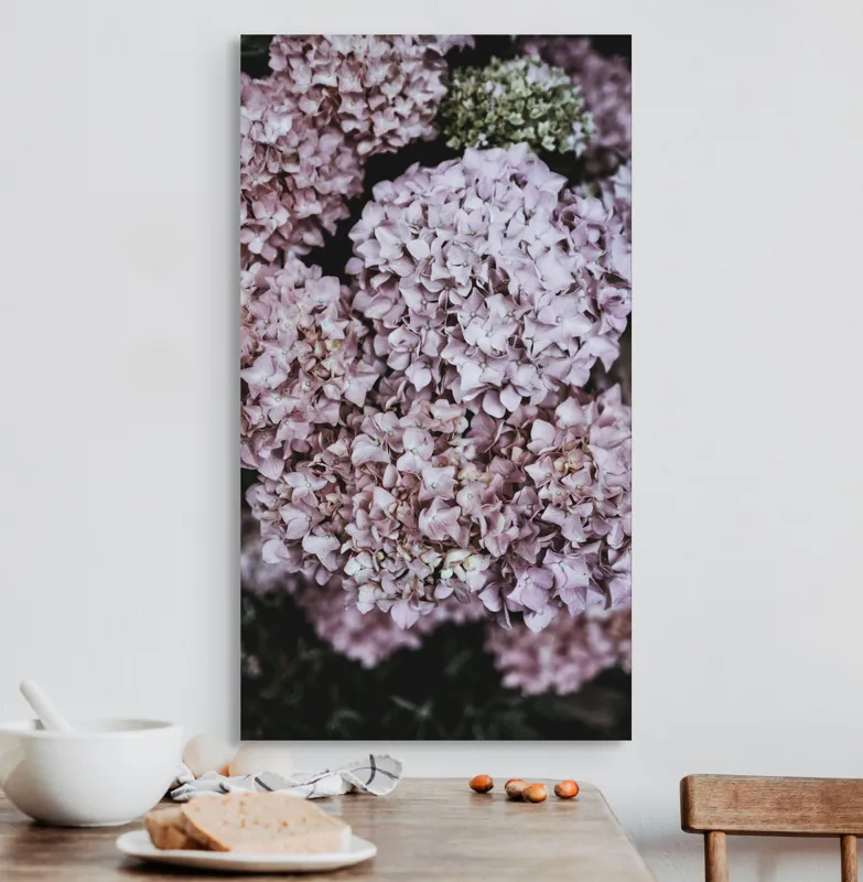 Tablou Canvas, "Delicatețe de hortensii rozalie înflorite", Flori, Hortensii, Roz, Delicat, Abundență, Natură, Textură, Petale, Frumusețe, Pastel, 50 x 90 cm – poza 3