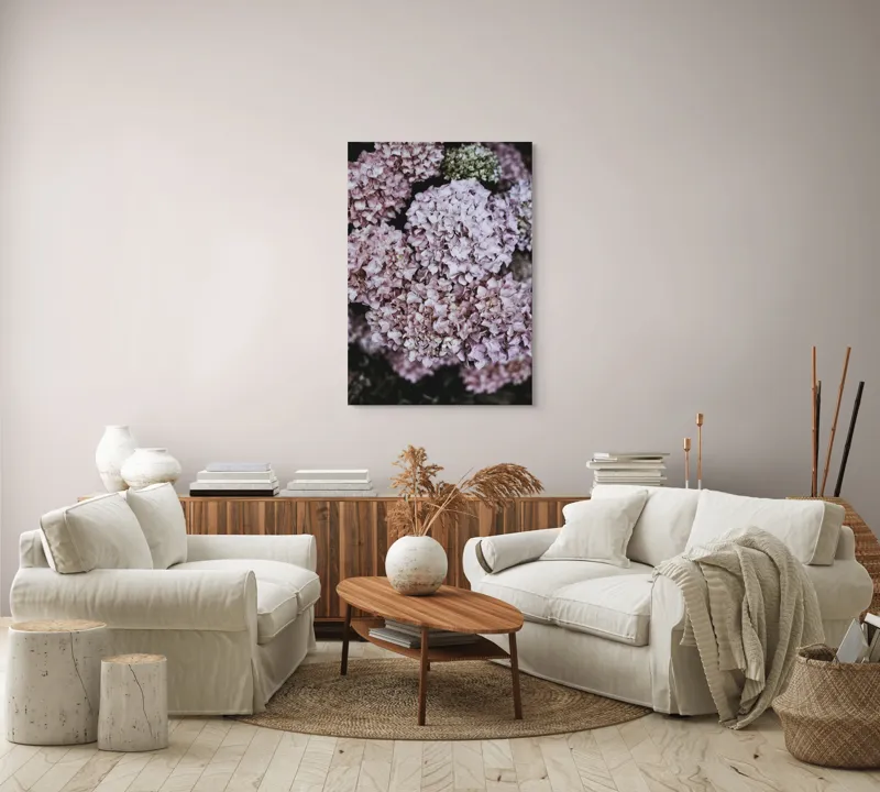 Tablou Canvas, "Delicatețe de hortensii rozalie înflorite", Flori, Hortensii, Roz, Delicat, Abundență, Natură, Textură, Petale, Frumusețe, Pastel, 70 x 100 cm – poza 4