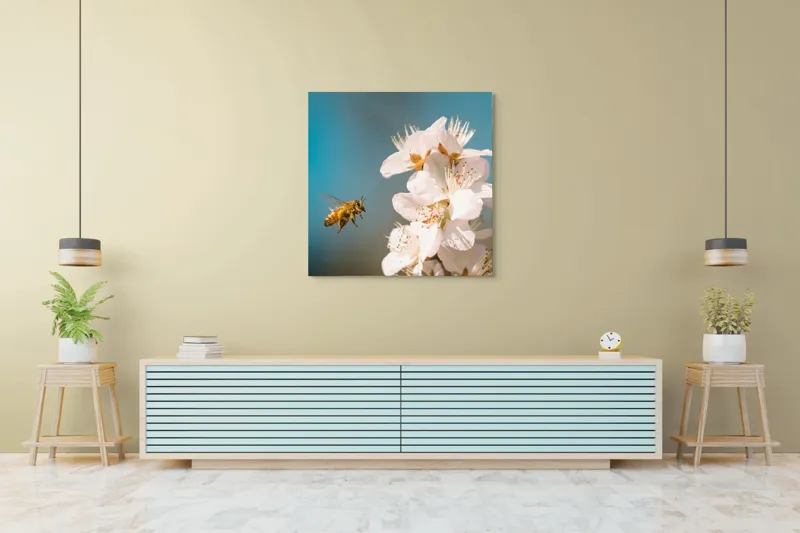 Tablou Canvas, "Albina zburând spre floarea primăverii", Alb, Albine, Flori, Primăvară, Natură, Delicat, Cer, Albastru, Polenizare, 100 x 100 cm – poza 5