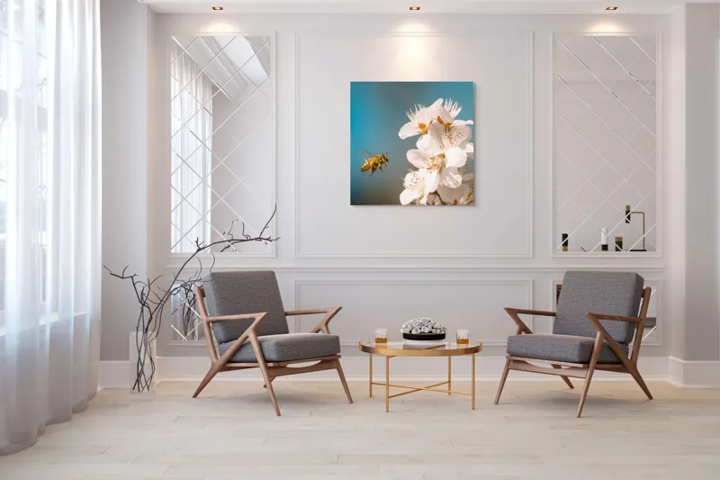 Tablou Canvas, "Albina zburând spre floarea primăverii", Alb, Albine, Flori, Primăvară, Natură, Delicat, Cer, Albastru, Polenizare, 100 x 100 cm – poza 7