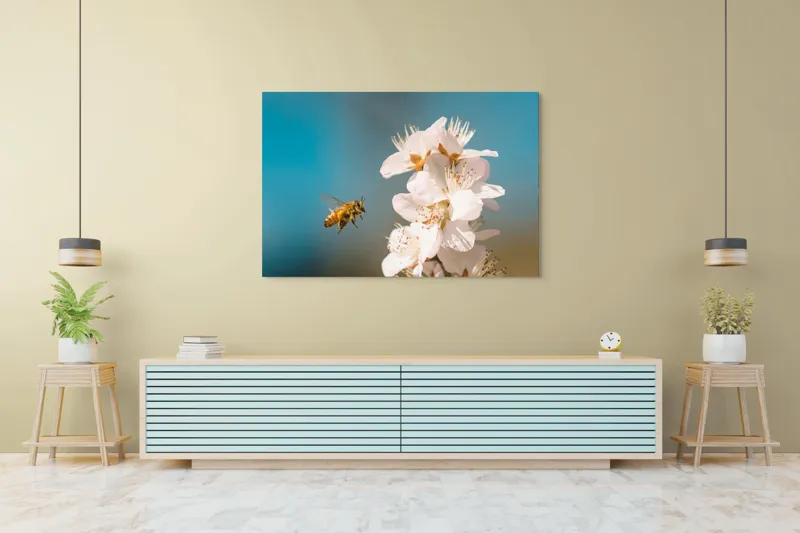 Tablou Canvas, "Albina zburând spre floarea primăverii", Alb, Albine, Flori, Primăvară, Natură, Delicat, Cer, Albastru, Polenizare, 150 x 100 cm – poza 6