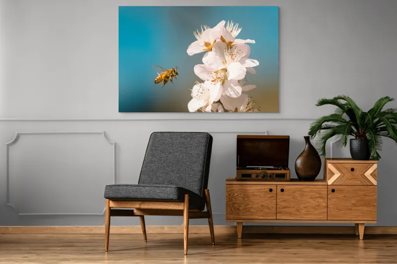 Tablou Canvas, "Albina zburând spre floarea primăverii", Alb, Albine, Flori, Primăvară, Natură, Delicat, Cer, Albastru, Polenizare, 150 x 100 cm – poza 8