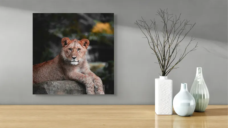 Tablou Canvas, "Leoaica odihnindu-se pe stâncă", Leu, Stâncă, Blană, Privire, Natură, Tânăr, Pată, Regal, Confortabil, Verdeață, 50 x 50 cm – poza 3