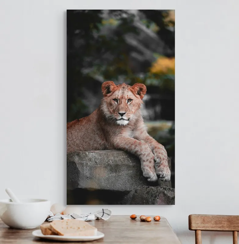 Tablou Canvas, "Leoaica odihnindu-se pe stâncă", Leu, Stâncă, Blană, Privire, Natură, Tânăr, Pată, Regal, Confortabil, Verdeață, 50 x 90 cm – poza 3