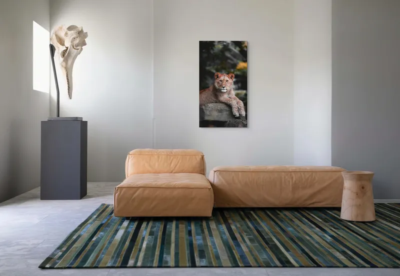 Tablou Canvas, "Leoaica odihnindu-se pe stâncă", Leu, Stâncă, Blană, Privire, Natură, Tânăr, Pată, Regal, Confortabil, Verdeață, 50 x 90 cm – poza 5