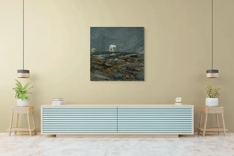 Tablou Canvas, "Urși polari pe stâncile reci", Mistreț, Polari, Stânci, Ceață, Rece, Singurătate, Pășire, Distanță, Natură., 100 x 100 cm – poza 5