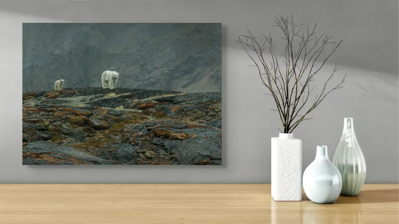 Tablou Canvas, "Urși polari pe stâncile reci", Mistreț, Polari, Stânci, Ceață, Rece, Singurătate, Pășire, Distanță, Natură., 70 x 50 cm – poza 3