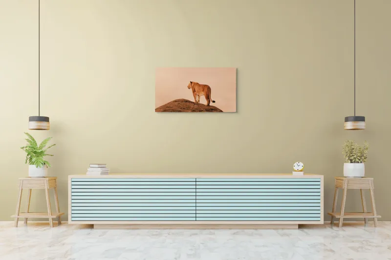 Tablou Canvas, "Leoaica pe stâncile răsăritului african", Nu știu cine este în imagine., 90 x 50 cm – poza 5