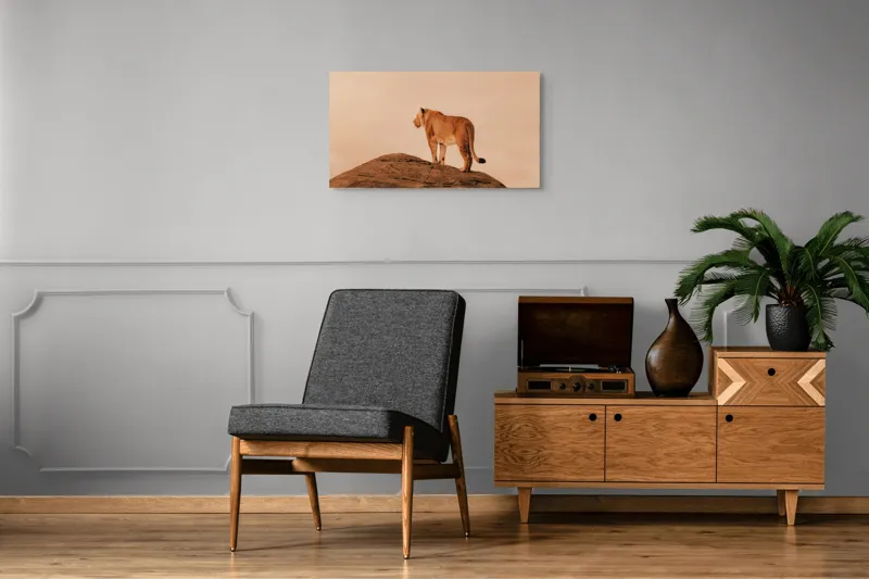 Tablou Canvas, "Leoaica pe stâncile răsăritului african", Nu știu cine este în imagine., 90 x 50 cm – poza 6