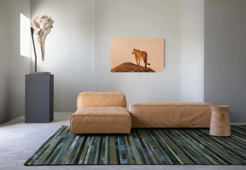 Tablou Canvas, "Leoaica pe stâncile răsăritului african", Nu știu cine este în imagine., 90 x 50 cm – poza 8