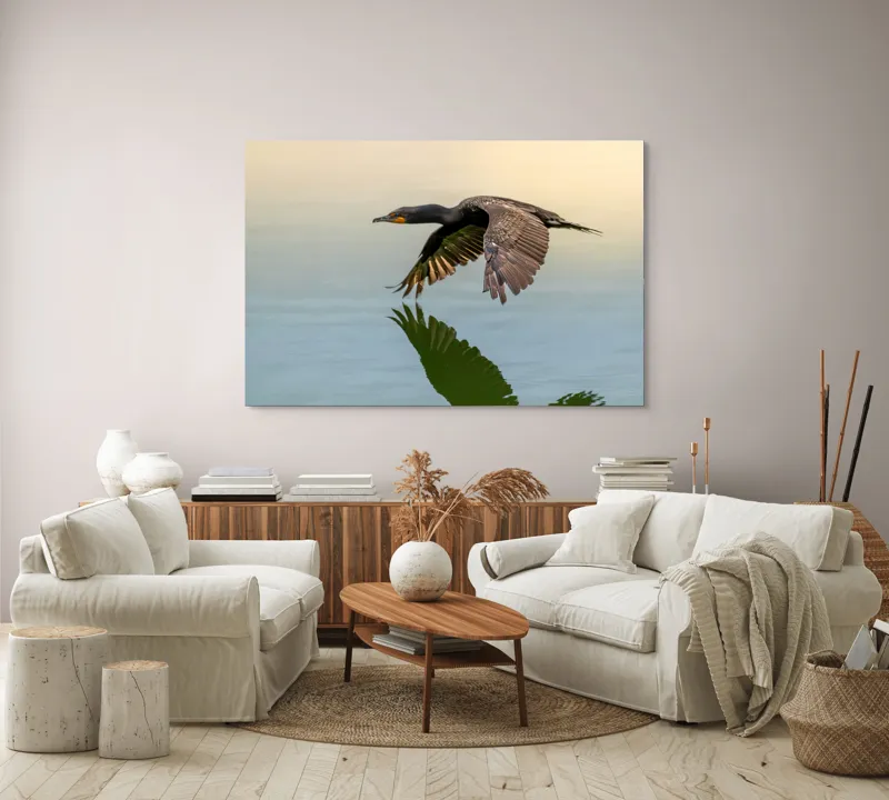 Tablou Canvas, "Cormoranul în zbor peste apă", Cormoran, Zbor, Apă, Reflecție, Aripi, Cer, Liniște, 150 x 100 cm – poza 3