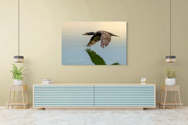 Tablou Canvas, "Cormoranul în zbor peste apă", Cormoran, Zbor, Apă, Reflecție, Aripi, Cer, Liniște, 150 x 100 cm – poza 6