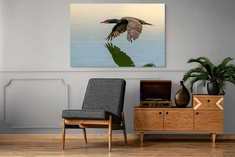 Tablou Canvas, "Cormoranul în zbor peste apă", Cormoran, Zbor, Apă, Reflecție, Aripi, Cer, Liniște, 150 x 100 cm – poza 8