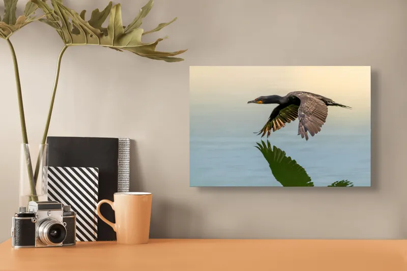 Tablou Canvas, "Cormoranul în zbor peste apă", Cormoran, Zbor, Apă, Reflecție, Aripi, Cer, Liniște, 39 x 26 cm – poza 3