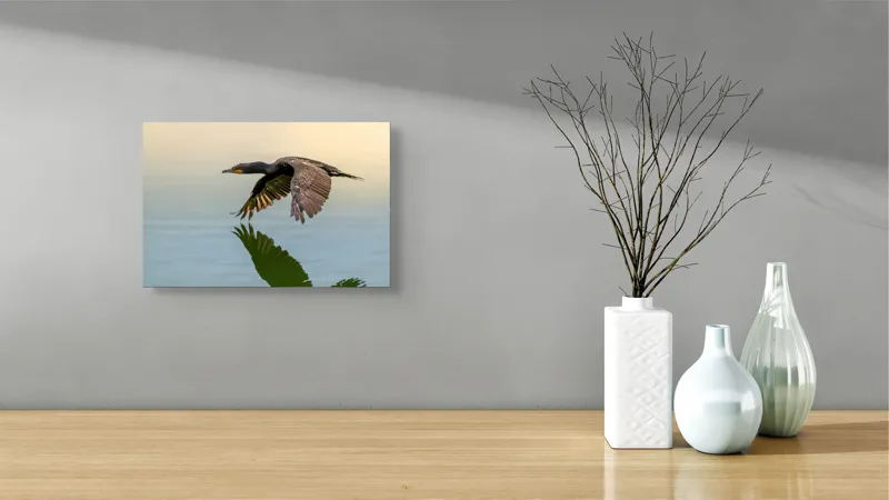 Tablou Canvas, "Cormoranul în zbor peste apă", Cormoran, Zbor, Apă, Reflecție, Aripi, Cer, Liniște, 39 x 26 cm – poza 8
