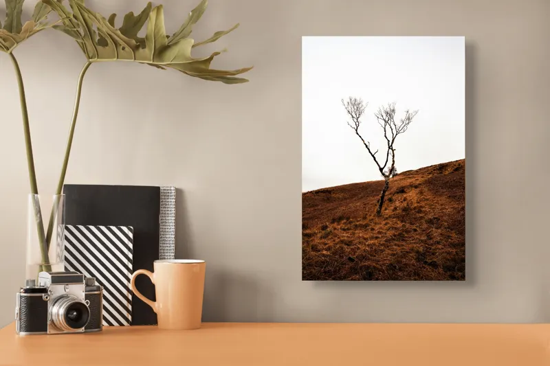 Tablou Canvas, "Arborele solitar pe deal toamna", Copac, Peisaj, Singurătate, Cer, Toamnă, Deal, Natură, Contrast, Melancolie, Siluetă, 26 x 39 cm – poza 3
