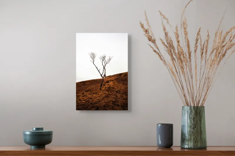 Tablou Canvas, "Arborele solitar pe deal toamna", Copac, Peisaj, Singurătate, Cer, Toamnă, Deal, Natură, Contrast, Melancolie, Siluetă, 26 x 39 cm – poza 5