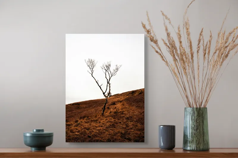 Tablou Canvas, "Arborele solitar pe deal toamna", Copac, Peisaj, Singurătate, Cer, Toamnă, Deal, Natură, Contrast, Melancolie, Siluetă, 39 x 54 cm – poza 3