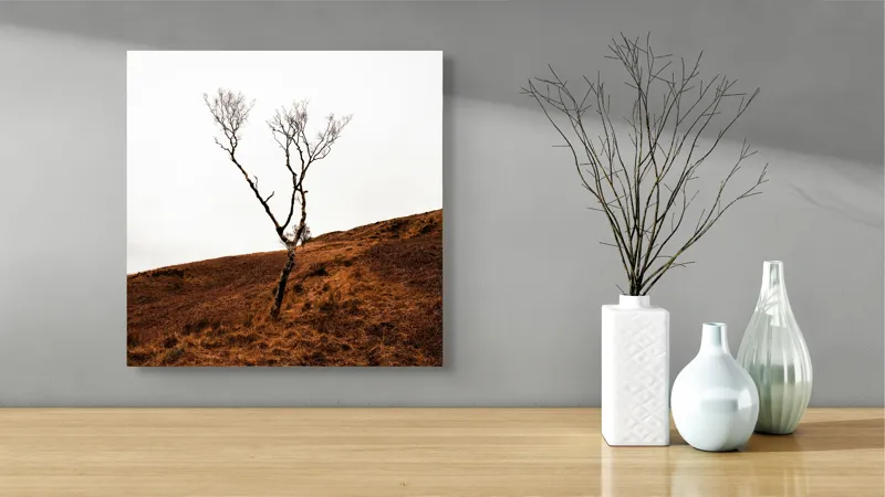Tablou Canvas, "Arborele solitar pe deal toamna", Copac, Peisaj, Singurătate, Cer, Toamnă, Deal, Natură, Contrast, Melancolie, Siluetă, 50 x 50 cm – poza 3