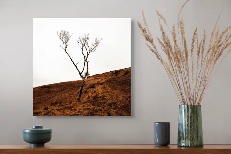 Tablou Canvas, "Arborele solitar pe deal toamna", Copac, Peisaj, Singurătate, Cer, Toamnă, Deal, Natură, Contrast, Melancolie, Siluetă, 50 x 50 cm – poza 4