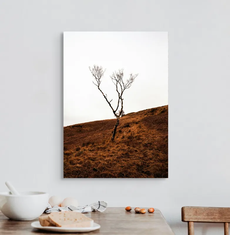 Tablou Canvas, "Arborele solitar pe deal toamna", Copac, Peisaj, Singurătate, Cer, Toamnă, Deal, Natură, Contrast, Melancolie, Siluetă, 50 x 70 cm – poza 3