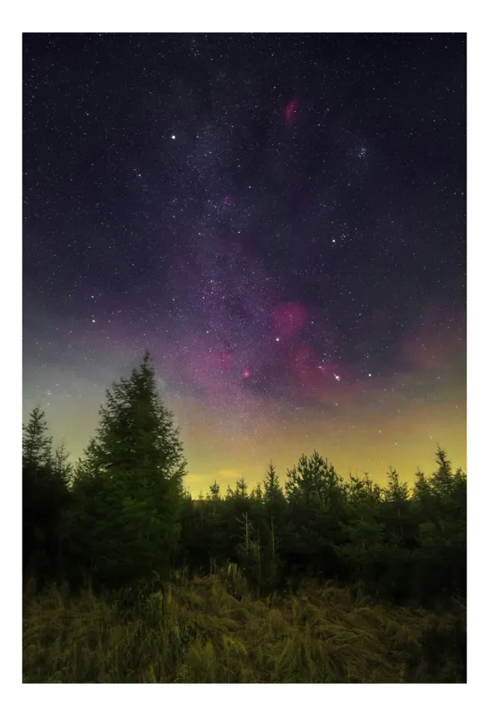 Tablou Canvas, "Cer înstelat deasupra pădurii nocturne", Stele, Cer, Pădure, Lumină, Noapte, Culoare, Mister, Infinit, Natură, Strălucire, 70 x 100 cm