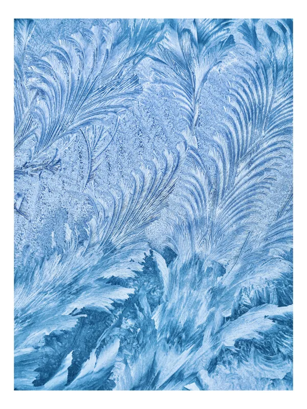 Tablou Canvas, "Atingerea gheții în zori senine", Gheață, Textură, Albastru, Abstract, Delicat, Frig, Natură, Artistic, Model, Înghețat, 26 x 39 cm