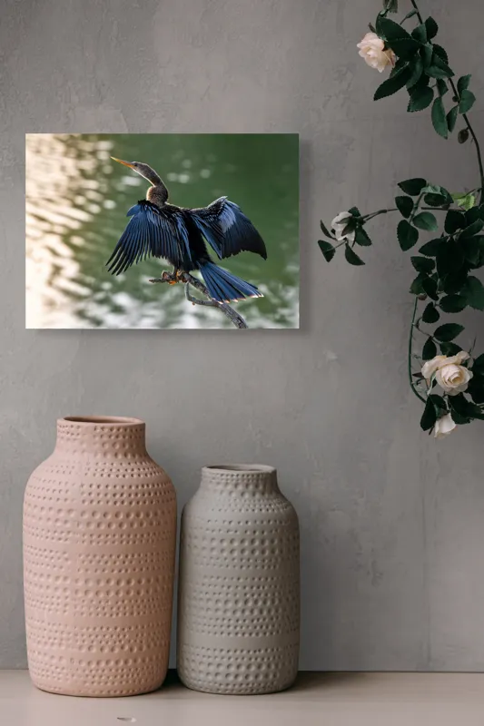 Tablou Canvas, "Pasărea cu aripi întinse pe apă", Pasăre, Apă, Aripi, Penaj, Natural, Frumusețe, Simplu, Grație, 54 x 39 cm – poza 8