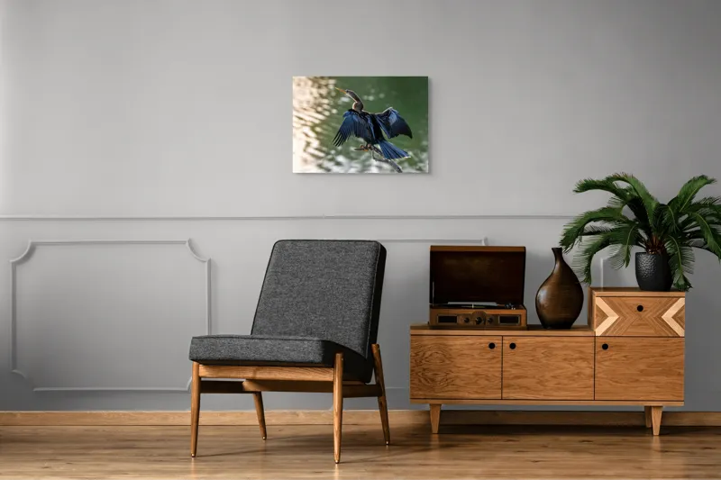 Tablou Canvas, "Pasărea cu aripi întinse pe apă", Pasăre, Apă, Aripi, Penaj, Natural, Frumusețe, Simplu, Grație, 70 x 50 cm – poza 4