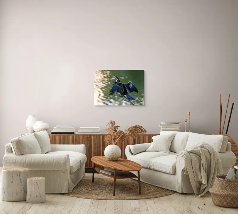 Tablou Canvas, "Pasărea cu aripi întinse pe apă", Pasăre, Apă, Aripi, Penaj, Natural, Frumusețe, Simplu, Grație, 70 x 50 cm – poza 6
