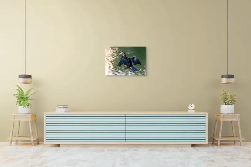 Tablou Canvas, "Pasărea cu aripi întinse pe apă", Pasăre, Apă, Aripi, Penaj, Natural, Frumusețe, Simplu, Grație, 70 x 50 cm – poza 7