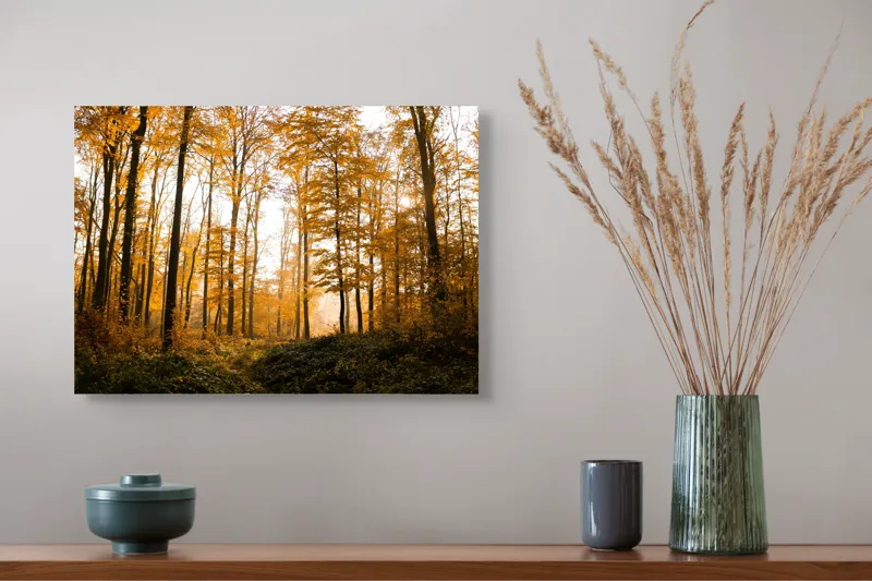 Tablou Canvas, "Pădurea în culorile toamnei târzii", Aur, Toamnă, Copaci, Lumină, Frunze, Pădure, Căldură, Natură., 54 x 39 cm – poza 4