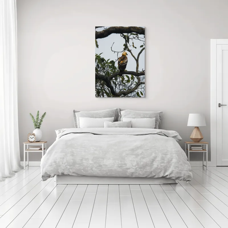 Tablou Canvas, "Vultur tânăr în așteptarea zborului", Pasăre, Ramură, Copac, Frunze, Cer, Penaj, Natură, Prădător, Observare, Pădure., 70 x 100 cm – poza 3