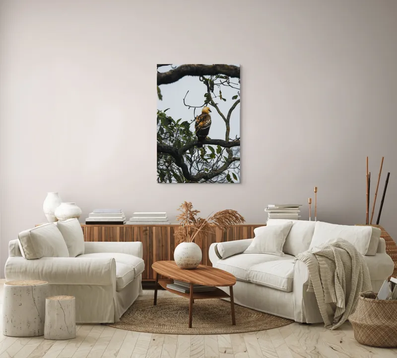 Tablou Canvas, "Vultur tânăr în așteptarea zborului", Pasăre, Ramură, Copac, Frunze, Cer, Penaj, Natură, Prădător, Observare, Pădure., 70 x 100 cm – poza 4