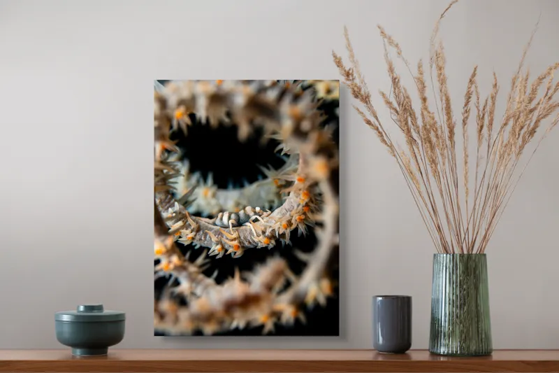 Tablou Canvas, "Spirală subacvatică misterioasă cu viețuitoare", Spini, Cercul, Textură, Abis, Misheto, Detaliu, Misterios, Biologie, Curiozitate, Atracție, 39 x 54 cm – poza 3