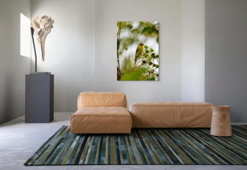 Tablou Canvas, "Cântecul mierlei printre crengi verzi", Verde, Pene, Ramură, Păsare, Frunze, Natură, Delicat, Primăvară, Observare, Frumusețe, 70 x 100 cm – poza 7