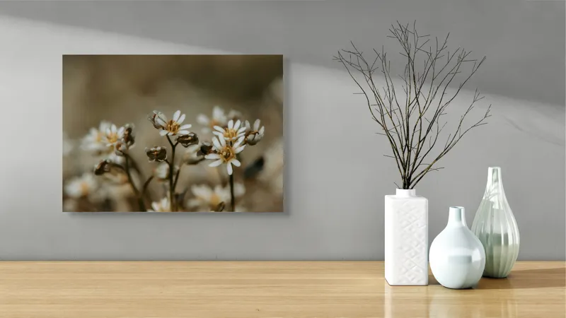 Tablou Canvas, "Delicate flori într-un colț de natură", Flori, Mici, Alb, Delicat, Naturale, Înflorite, Fragile, Frumusețe., 54 x 39 cm – poza 3