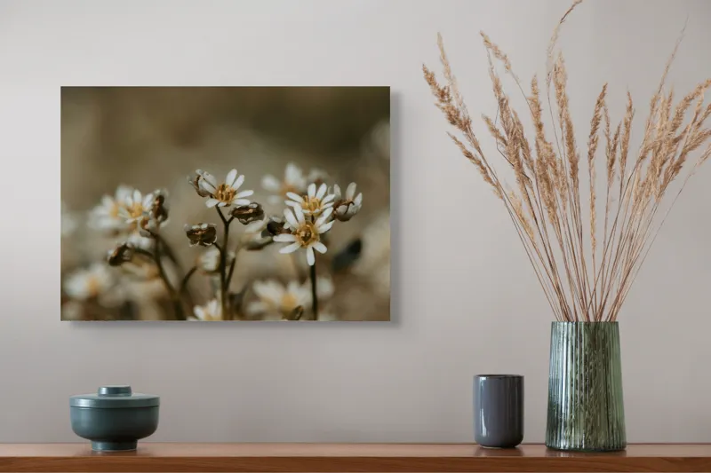 Tablou Canvas, "Delicate flori într-un colț de natură", Flori, Mici, Alb, Delicat, Naturale, Înflorite, Fragile, Frumusețe., 54 x 39 cm – poza 4